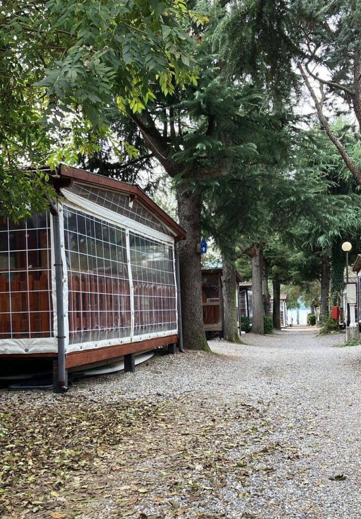 Deze afbeelding heeft een leeg alt-attribuut; de bestandsnaam is achttien-2-711x1024.jpg